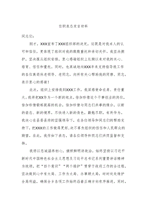 任职表态发言材料.docx