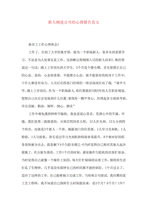 新人刚进公司的心得报告范文.docx