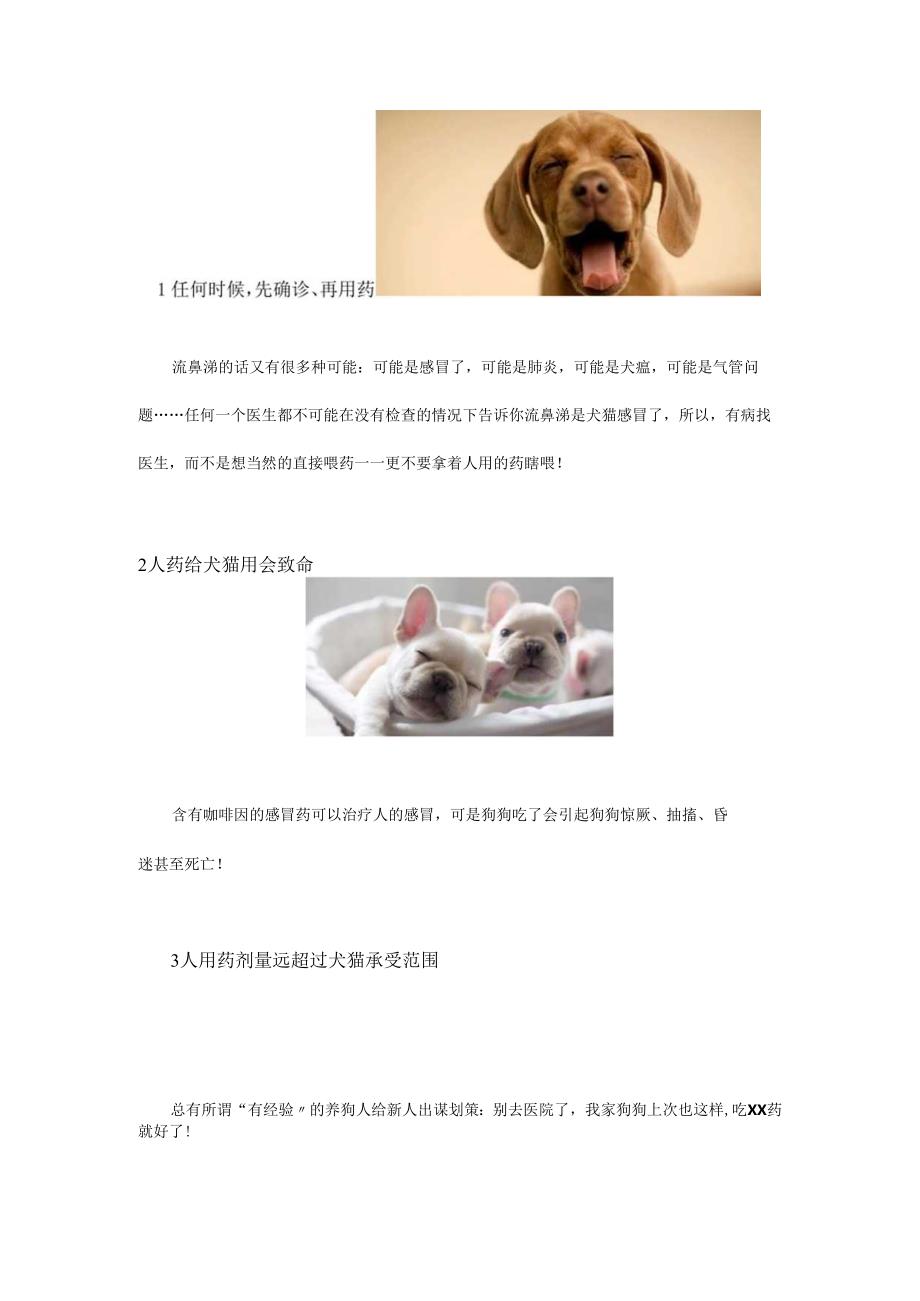 兽医知识科普：为什么宠物不能吃人药？.docx_第2页