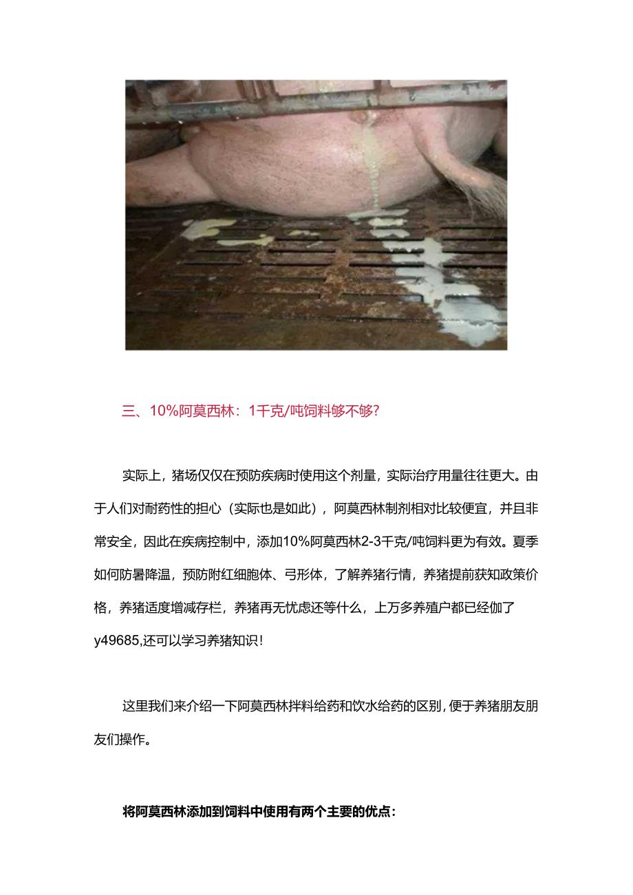 阿莫西林在猪场该怎样使用？很多人都用错了！.docx_第2页