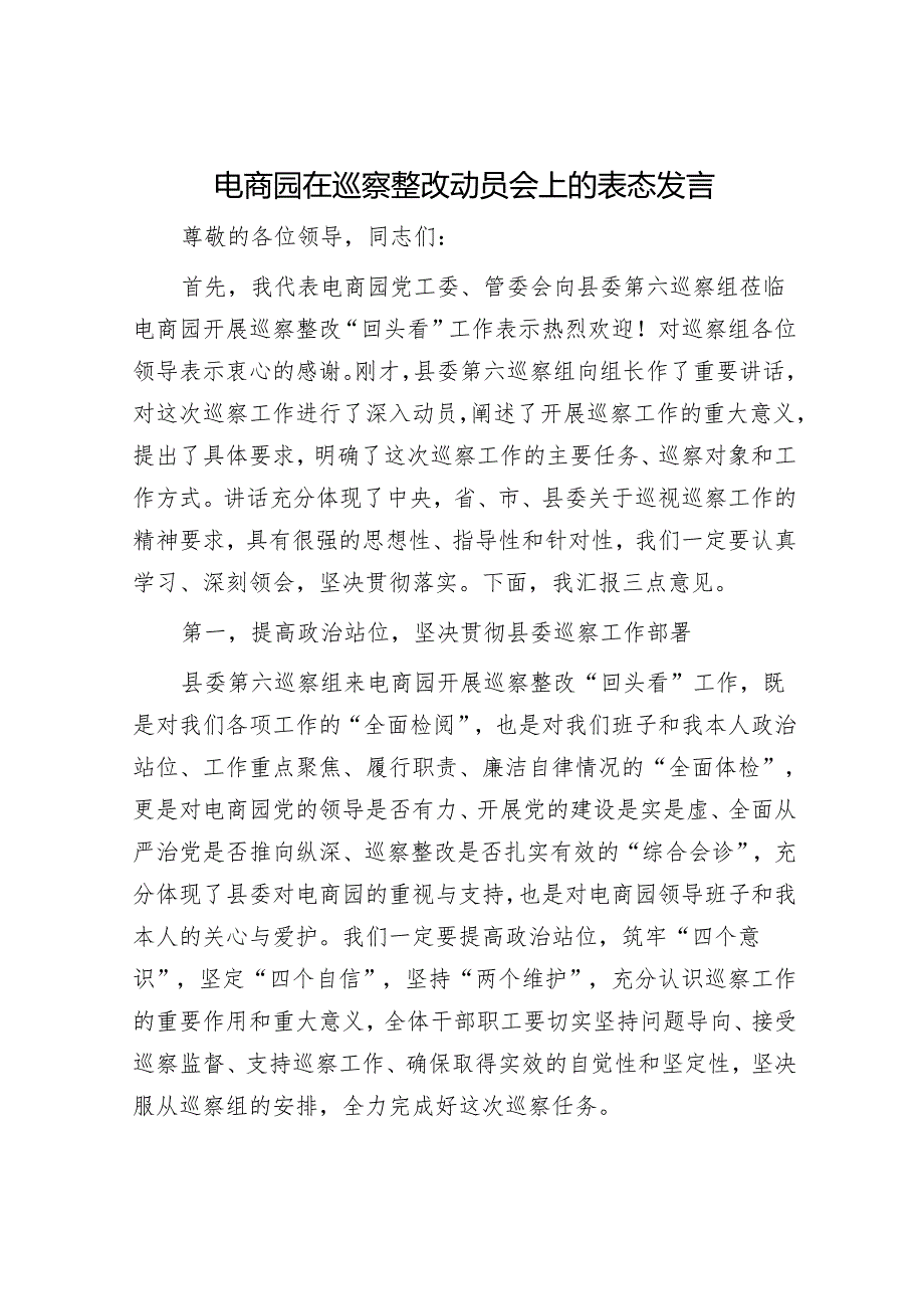 在市委第二巡察组巡察意见反馈会上的表态发言&电商园在巡察整改动员会上的表态发言.docx_第3页