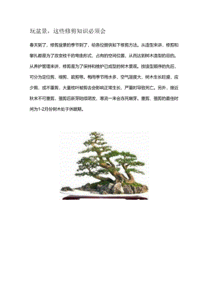 玩盆景这些修剪知识必须会.docx
