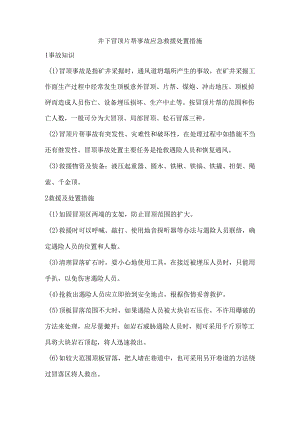 井下冒顶片帮事故应急救援处置措施.docx
