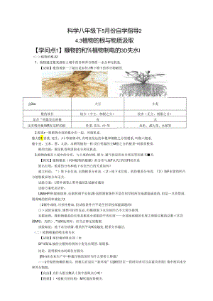 4.3 植物的根与物质吸收.docx