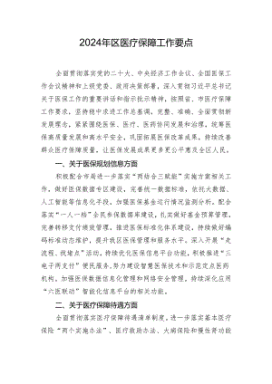 2024年区医疗保障工作要点.docx