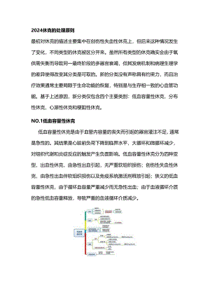 2024休克的处理原则.docx
