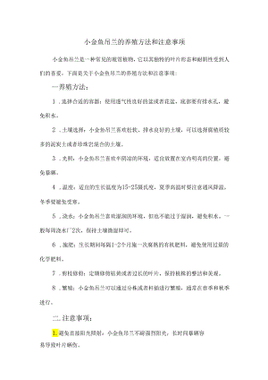 小金鱼吊兰的养殖方法和注意事项.docx