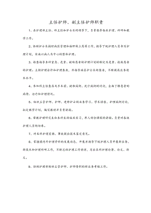 主任护师、副主任护师职责.docx