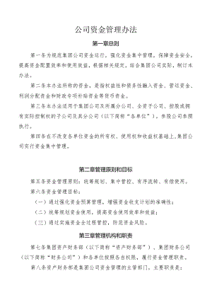 公司资金管理办法.docx
