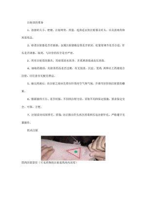 值得收藏的各种给猪注射方法.docx