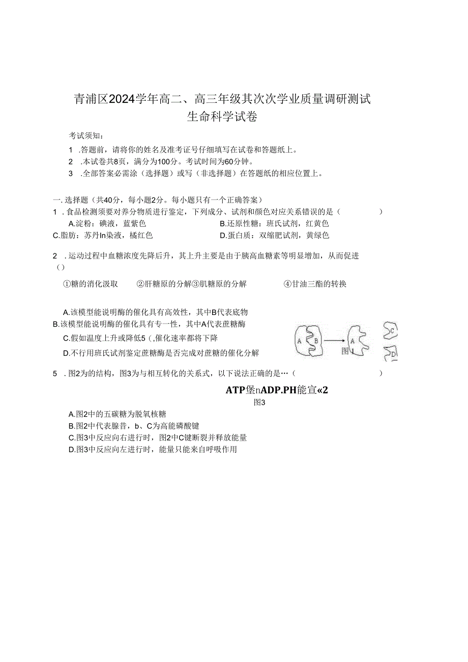 上海市青浦区2024-2025学年生命科学等级考二模试卷及参考答案.docx_第1页