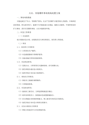 火灾、其他爆炸事故现场处置方案.docx
