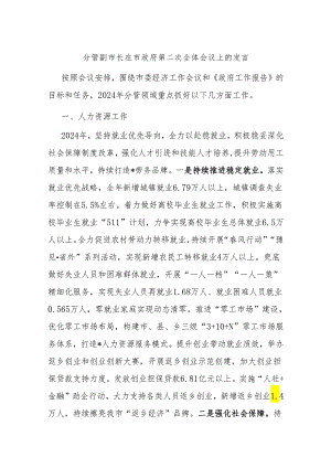 分管副市长在市政府第二次全体会议上的发言.docx