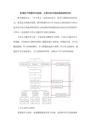 新课标下的教学与实践：大单元学习须实施持续性评价.docx
