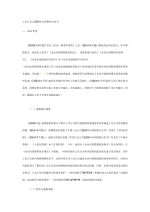 上市公司之2024年内部控制白皮书.docx