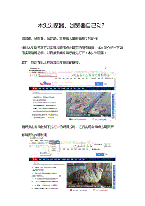 木头浏览器浏览器自己动？.docx