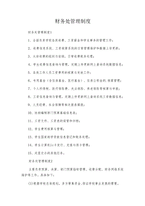 财务处管理制度.docx