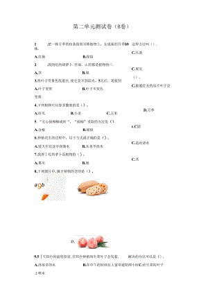 冀人版科学四年级下册第二单元植物的生长与繁殖分层训练（B卷提升篇）.docx