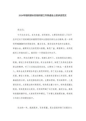 2024 年组织部长在组织部工作务虚会上的讲话范文.docx