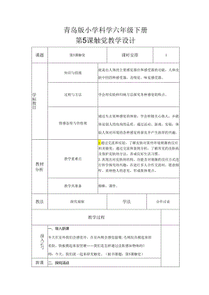 第5课 触觉（教学设计）-六年级科学下册（青岛版）.docx