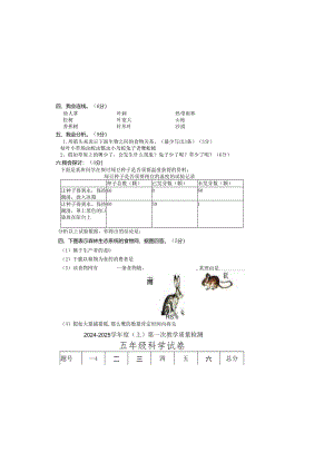 五年级上册科学月考测试第一次测试_20242024学年陕西省咸阳市泾阳县云阳镇中学（教科版word无答案）.docx