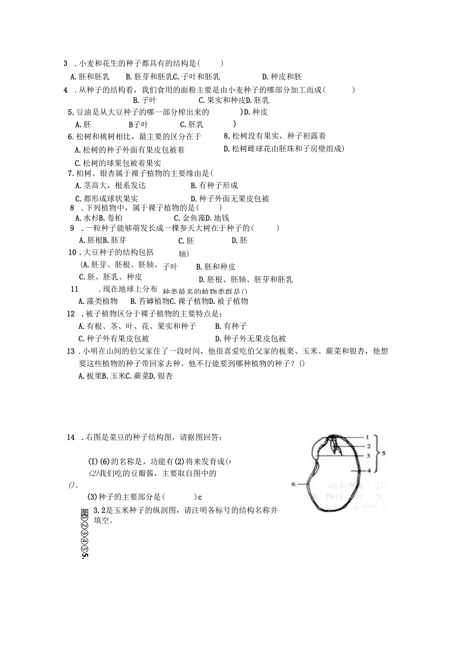 3.1.2 种子植物 导学案.docx_第2页