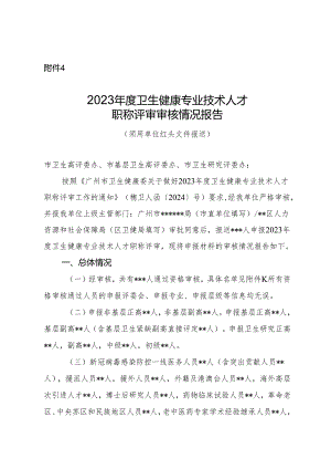2023年度卫生健康专业技术人才职称评审审核情况报告（模板）.docx