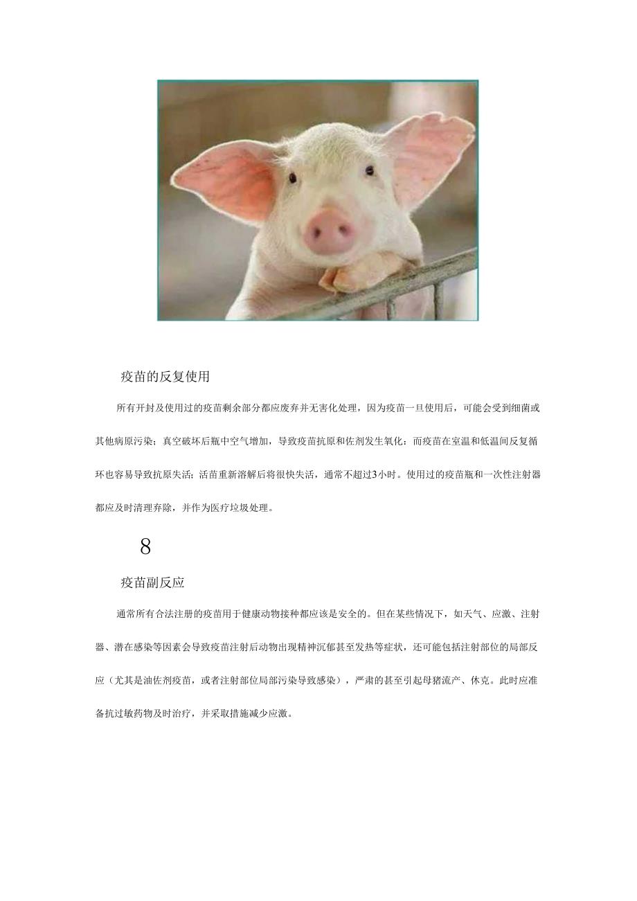 猪场疫苗保存与使用时的注意事项.docx_第3页
