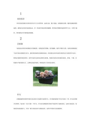 猪场疫苗保存与使用时的注意事项.docx