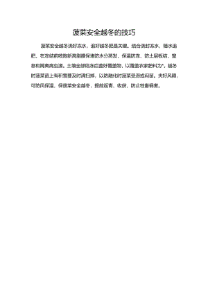 菠菜安全越冬的技巧.docx