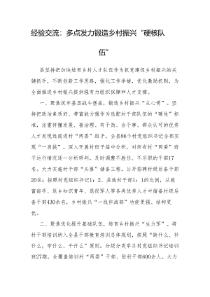 经验做法：多点发力锻造乡村振兴“硬核队伍”.docx