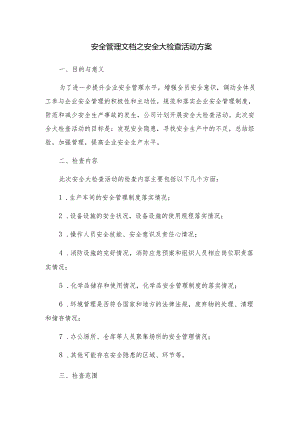 安全管理文档之安全大检查活动方案.docx