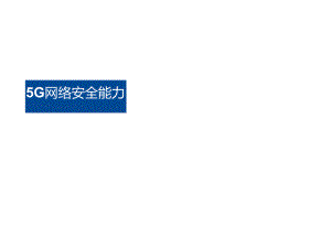20225G网络安全能力.docx