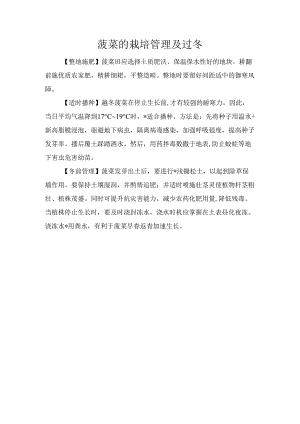 菠菜的栽培管理及过冬.docx
