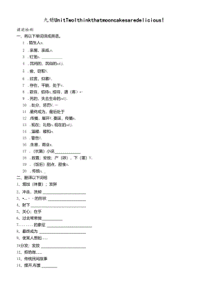 人教版九年级Unit2知识点精讲及练习（无答案）.docx