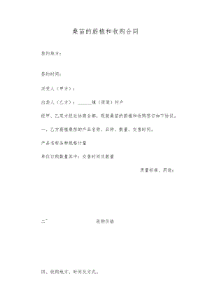 桑苗的种植和收购合同.docx