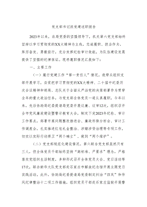 党支部书记抓党建述职报告.docx