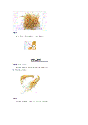 3000种中医药材第1801-1900种.docx