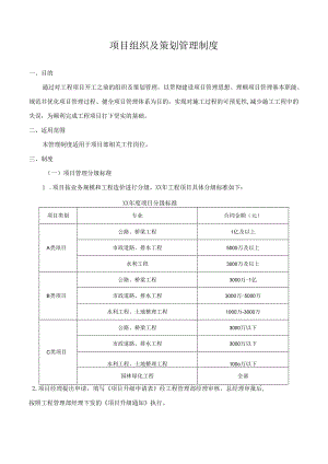 项目组织及策划管理制度.docx