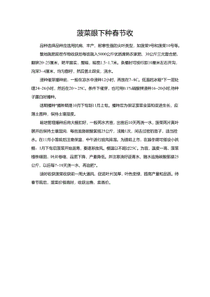 菠菜眼下种春节收.docx