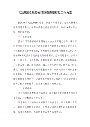 XX局落实党委专项巡察意见整改工作方案.docx