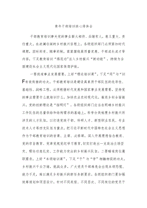 青年干部培训班心得体会.docx