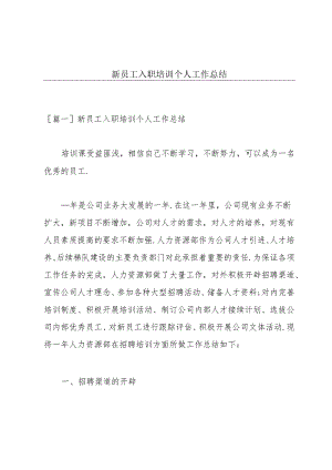 新员工入职培训个人工作总结.docx