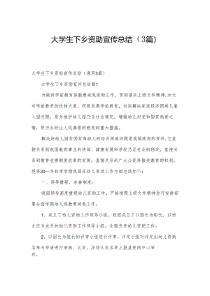 大学生下乡资助宣传总结（3篇）.docx