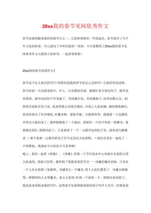 20xx我的春节见闻优秀作文.docx