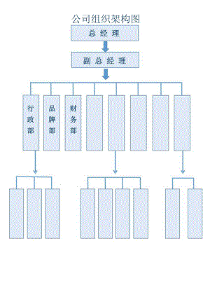 公司组织架构图.docx