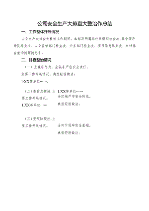 公司安全生产大排查大整治作总结.docx