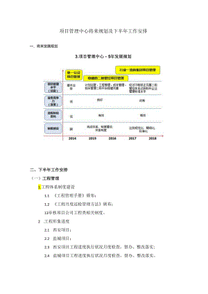 4、项目管理中心未来规划及下半年工作计划.docx