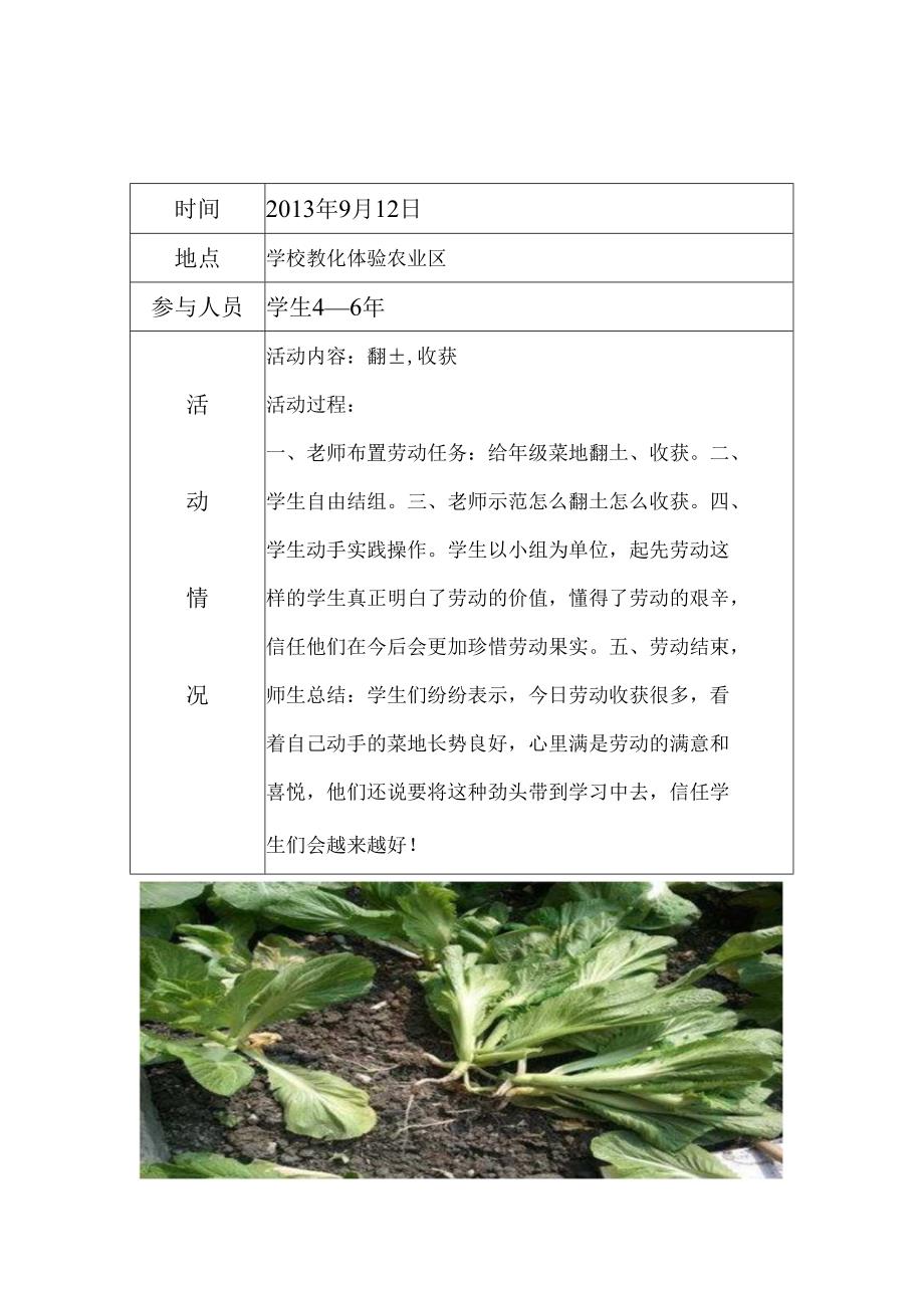 4、5、6年劳动课外活动记录于.docx_第3页