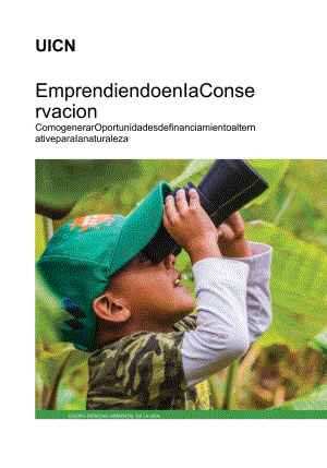 保育企业家精神（英）.docx